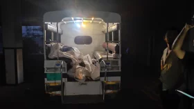 থেমে থাকা লোভেটে আছড়ে পড়ল পিকআপ, নিহত ৩