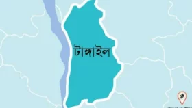 টাঙ্গাইলে সড়ক দুর্ঘটনায় কৃষি শ্রমিক নিহত