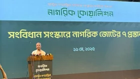 নতুন সংবিধান প্রণয়ন হতে সময় লাগবে: আসিফ নজরুল