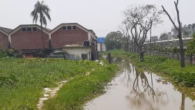 কোমরসমান পানিতে নষ্ট হচ্ছে কয়েক হাজার টন সরকারি খাদ্যশস্য