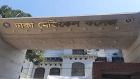 বাসাবোতে পিকআপ ভ্যানের ধাক্কায় খামারি নিহত