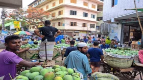 ৫ দিন আগে বাজারে আসছে হিমসাগর!