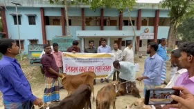 রায়পুরে জেলেদের মাঝে বকনা বাছুর ও লাইফ জ্যাকেট বিতরণ