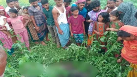 পাট ক্ষেতে পড়ে ছিল দগ্ধ নারীর বিবস্ত্র মরদেহ