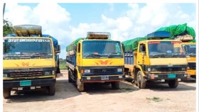 আখাউড়া স্থলবন্দর দিয়ে ভারতে মাছ রপ্তানি বন্ধ&nbsp;