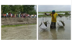 ভাঙনে দিশেহারা কুড়িগ্রামের নদী পাড়ের মানুষ