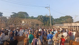 সরকারহাটে আগাম কোরবানির পশু বেচাকেনা শুরু