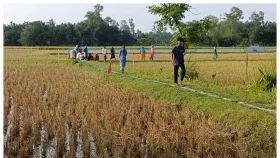 কুড়িগ্রামে আ.লীগ নেতার দখলে থাকা সরকারি সড়ক উদ্ধার