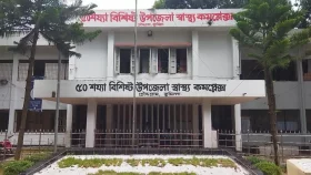 পানিতে ডুবে ভাই-বোনের মৃত্যু&nbsp;