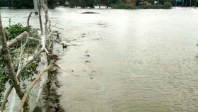 ঘূর্ণিঝড় আতঙ্কে হাতিয়াবাসী, বাঁধের অভাবে প্লাবনের শঙ্কা