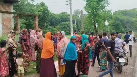 শৈলকুপায় ট্রাকচাপায় নারীর মৃত্যু