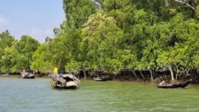সুন্দরবনে প্রবেশে আজ থেকে তিন মাসের নিষেধাজ্ঞা