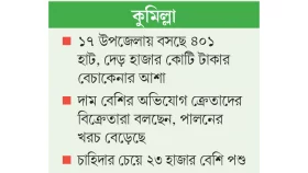 জমে উঠছে কোরবানির পশুর হাট