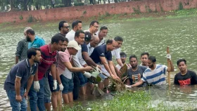 জিয়া উদ্যানের লেকে &lsquo;শাপলা ফুল&rsquo; রোপণ করল &lsquo;আমরা বিএনপি পরিবার&rsquo;