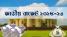 কৃষির উন্নয়নে নতুন উদ্যোগ নেয়নি সরকার&nbsp;