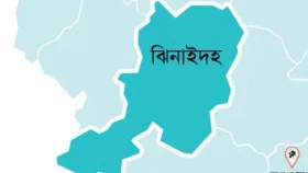 ঝিনাইদহে ভাইকে হত্যার দায়ে দুই ভাইয়ের যাবজ্জীবন