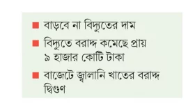 জ্বালানিতে বরাদ্দ বাড়লেও কমেছে বিদ্যুতে