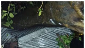 বালিয়াকান্দিতে ঝড়ে গাছের ডাল পড়ে গৃহবধূর মৃত্যু