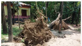 পঞ্চগড়ে আকস্মিক ঝড়ে ব্যাপক ক্ষয়ক্ষতি