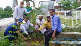 সৌন্দর্য্য বৃদ্ধিতে আখাউড়ায় সড়কের পাশে কৃষ্ণচূড়া গাছ রোপণ