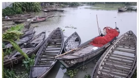 ভরা মৌসুমেও মেঘনায় ইলিশের দেখা নেই, হতাশ জেলেরা