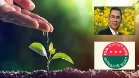 ৫ কোটি গাছ লাগানোর প্রতিশ্রুতি তারেক রহমানের