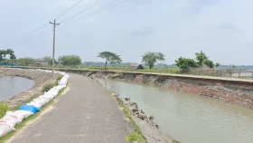 সাতক্ষীরার রাস্তা ভেঙে চলে যাচ্ছে কলকাতায়!