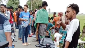 ঝিনাইদহে পৃথক সড়ক দুর্ঘটনায় ২ ছাত্র নিহত