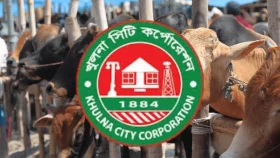 এক সপ্তাহের হাটে কেসিসির রাজস্ব আয় ২ কোটির বেশি 