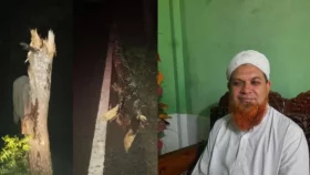 তাড়াশে ঝড়ের কবলে পড়ে শিক্ষক নিহত&nbsp;
