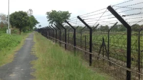 দিনাজপুর ও ঠাকুরগাঁও সীমান্ত দিয়ে ২০জনকে বিএসএফের পুশইন