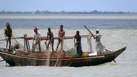 রাতে সাগর যাত্রায় পটুয়াখালী উপকূলের অর্ধলক্ষাধিক জেলে