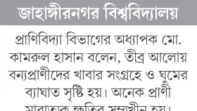 তীব্র আলোয় হুমকিতে বন্যপ্রাণী