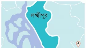 রায়পুরে জমি নিয়ে বিরোধ হামলায় নারীসহ আহত ৫