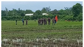 আখাউড়ায় সীমান্ত থেকে ১৫ গরু নিয়ে গেল বিএসএফ