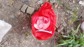 রাজধানীতে ছাত্রলীগের ককটেল বিস্ফোরণ