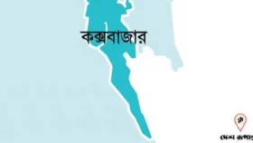 ডাকাতি করতে গিয়ে যুবতীকে ধর্ষণ চেষ্টা, ডাকাতকে পিটিয়ে হত্যা