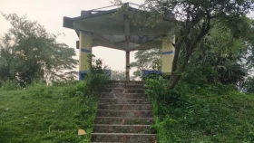 লন্ডনে বৈঠকে বগুড়ার যে পার্কের নাম বলেছেন তারেক রহমান