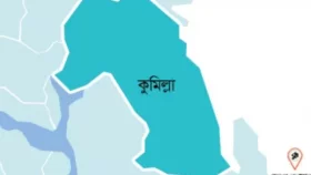 কুমিল্লায় সাপের কামড়ে কিশোরের মৃত্যু