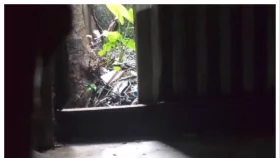 ঘরের টিন কেটে ৭০টি ফোন চুরি