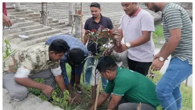 ডা. জুবাইদার জন্মবার্ষিকী উপলক্ষে জবি ছাত্রদলের বৃক্ষরোপণ