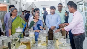 বিলুপ্তপ্রায় মাছ সংরক্ষণে সমন্বিতভাবে কাজ করতে হবে