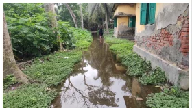 নাজিরপুরের পোস্ট অফিস রোডে বছর জুড়ে থাকে হাটু পানি