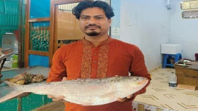 সাড়ে ১৩ হাজার টাকায় বিক্রি হলো আড়াই কেজির ইলিশ
