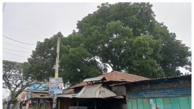 গাইবান্ধায় মৃত্যু ঝুঁকিতে সাংবাদিক পরিবার, আতঙ্কে ব্যবসায়ীরা