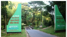 নাইক্ষ্যংছড়ি সীমান্তে মাইন বিস্ফোরণে যুবকের পা বিচ্ছিন্ন