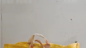 মুন্সীগঞ্জে রান্নাঘরের আঁড়ায় মিলল পাইপগান ও কার্তুজ