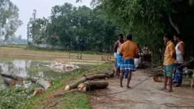 সরকারি গাছ কাটার অ&zwnj;ভি&zwnj;যোগে ইউপি চেয়ারম&zwnj;্যানসহ ৬জ&zwnj;নের বিরু&zwnj;দ্ধে মামলা