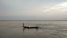 পদ্মায় মাদামবোঝাই ট্রলার ডুবে বৃদ্ধ নিখোঁজ