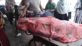 মুকসুদপুরে সড়ক দুর্ঘটনায় নারী নিহত